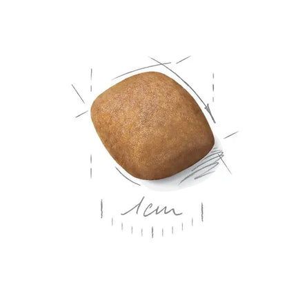 Royal Canin  Pomeranijos špicams granulės