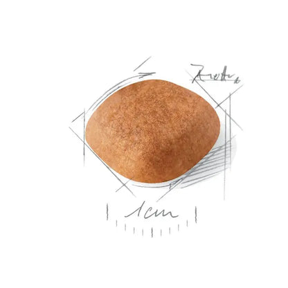 Royal Canin Vakarų Škotijos baltiesiems terjerams granulės