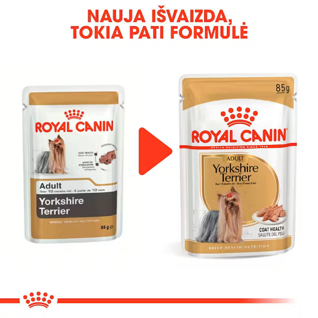 Royal Canin konservai Jorkšyro terjerams 12x85 g atsinaujinusi pakuotė