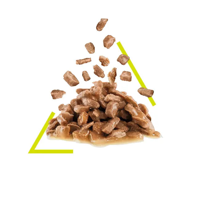 Sensory Smell drėgnas pašaras katėms Royal Canin (gabalėliai padaže) išvaizda