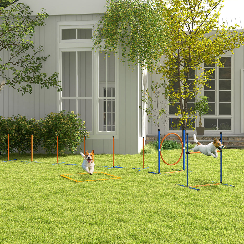 Šunų dresūros ir agility rinkinys, kliūtis, lankas ir slalomo komplektas