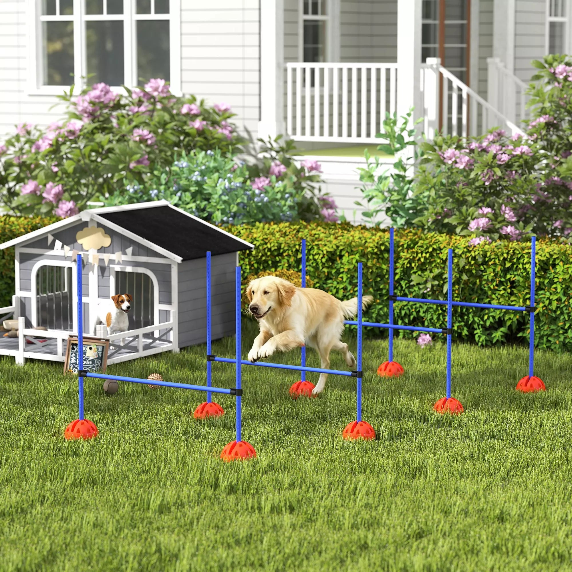 4 dalių šunų agility rinkinys su 4 kliūtimis ir nešimo krepšiu šuolių treniruotėms, mėlynas