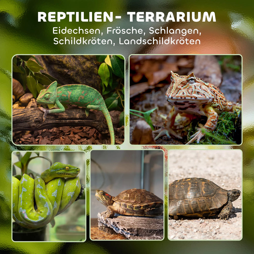 Stiklinis terariumas ropliams, paaukštintas ir vandeniui atsparus dugnas, sagties užraktas
