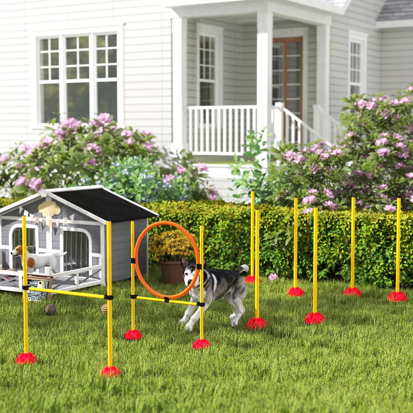 3 dalių šunų agility rinkinys, užpildomas. Agility įranga šunų dresūrai, šuolių kliūčių ir slalominių stulpų rinkinys.