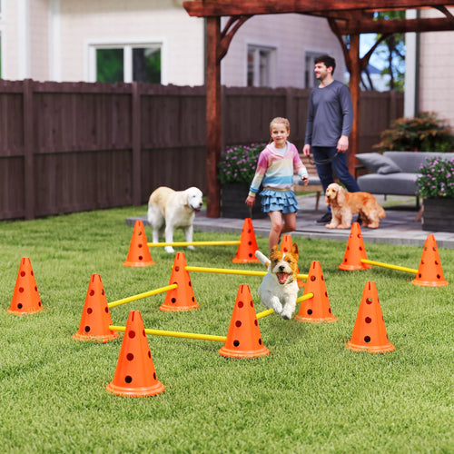 Agility rinkinys šunims, 6 dalių agiliti įranga šunų dresūrai, sudėjamų kliūčių rinkinys su 12 kūgių, 6 barjerų ir nešiojimo krepšiu