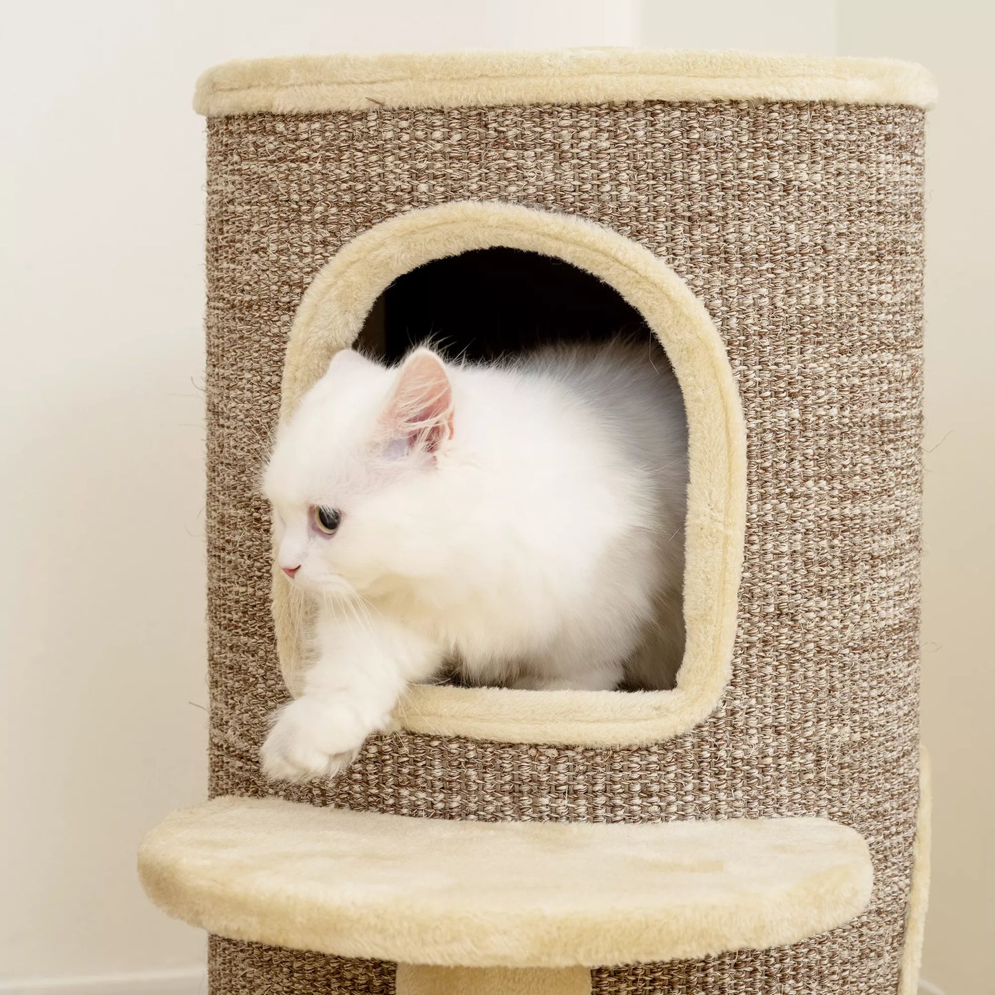 Kaķu māja, skrāpējamais stabs ar 2 līmeņiem, lēkšanas platforma, skatu platforma, skrāpējamais paklājiņš, atpūtai un spēlēm, bēša