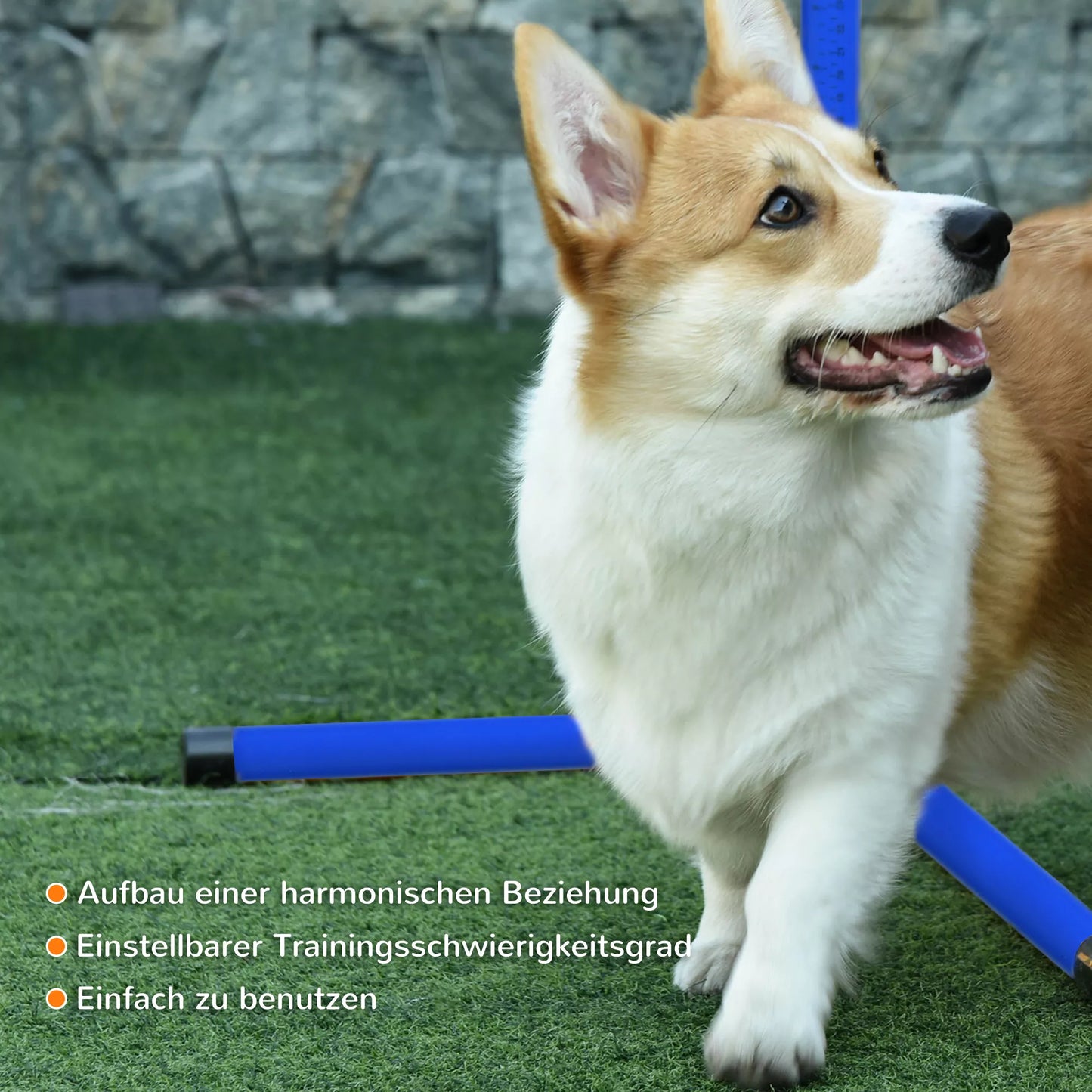 Šunų Agility Rinkinys, 4 dalys, reguliuojamo aukščio. Agility įranga, šuolių kartelių rinkinys, su 4 kliūtimis, su nešiojimo krepšiu. Koordinacijos treniruotėms, šuolių kartelių rinkinys žaidimams ir treniruotėms.