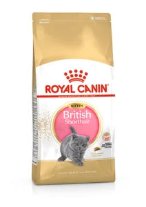 Royal Canin Britų trumpaplaukiams kačiukams iki 12 mėnesių amžiaus