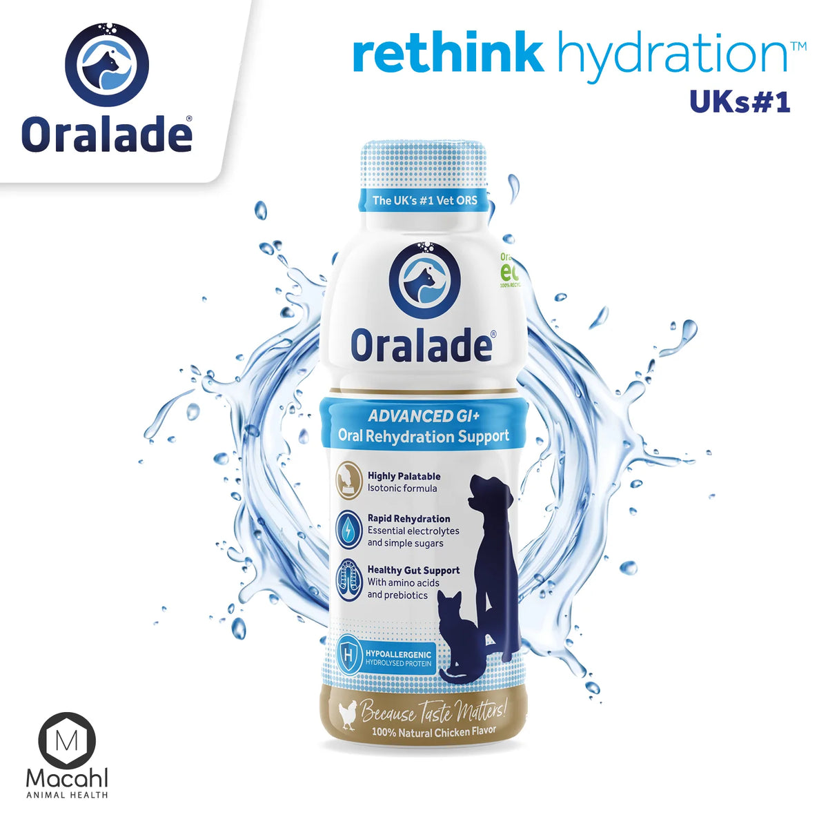 Oralade GI Support izotoninis gėrimas šunims ir katėms 500 ml