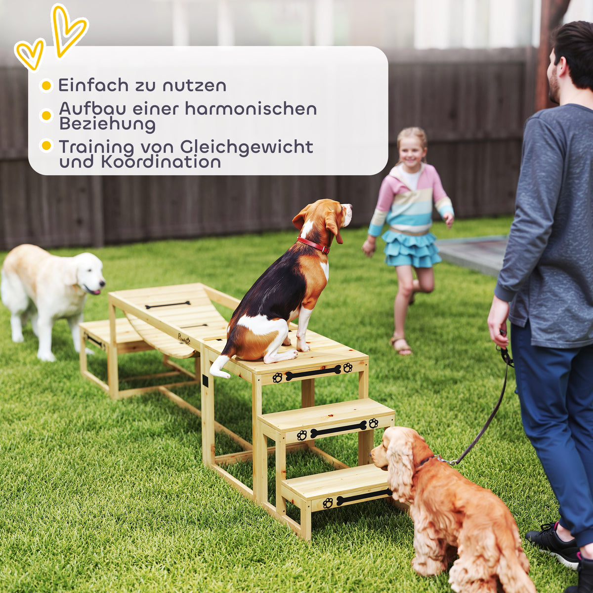 Agility rinkinys šunims: tiltelis, laiptai ir platforma, iš eglės medienos, iki 40 kg, natūralaus medžio spalvos
