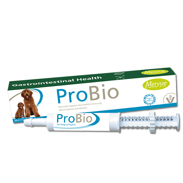 Mervue ProBio probiotinė pasta virškinimui šunims, 30 ml