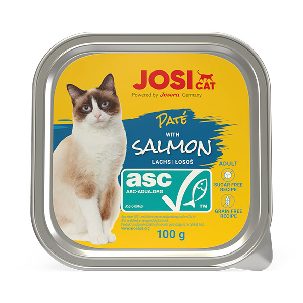 JosiCat Pate ASC lašišos paštetas katėms, 100 g