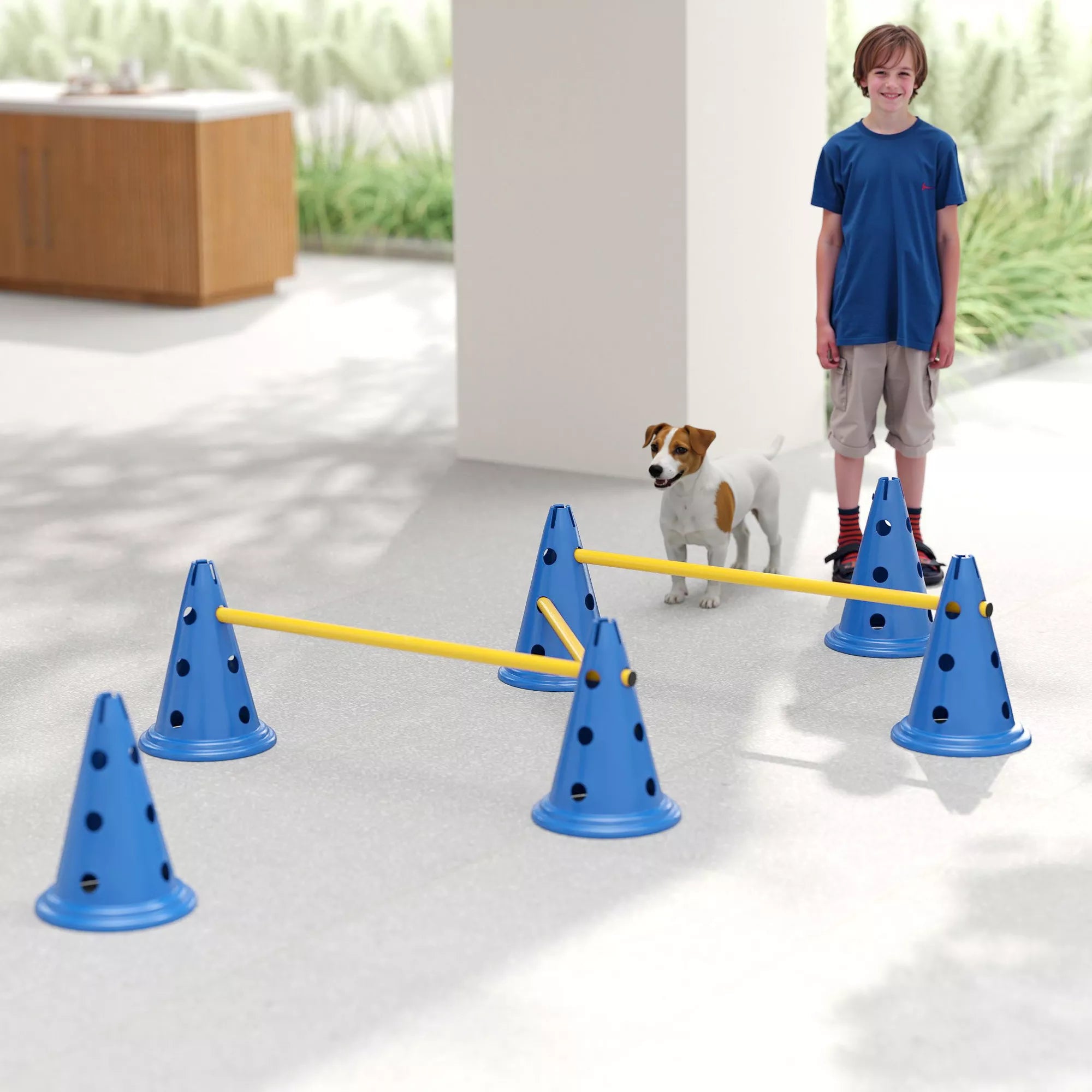 Agility rinkinys šunims 3 dalių agility įranga šunų dresūrai Stumiamų kliūčių rinkinys su 6 kūgiais 3 kliūtys Nešimo krepšys