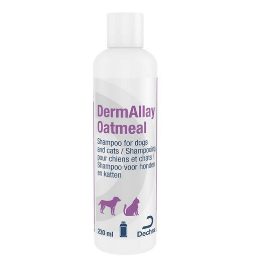 DermAllay drėkinantis šampūnas su avižomis 230 ml