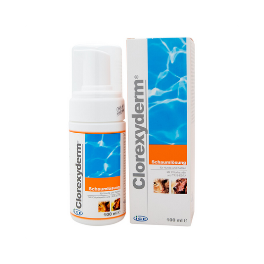 Clorexyderm Schaum Losung 4% Antibakterinis šampūnas 250 ml