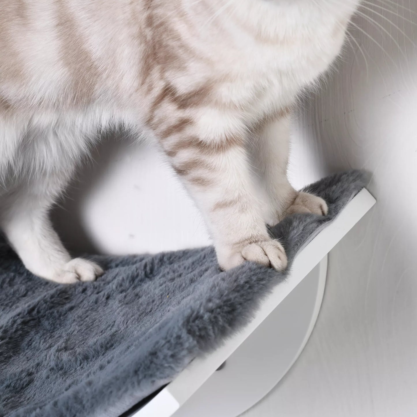 Kaķu gulta pie sienas, kaķu plaukts ar plīša polsterējumu, pelēks, 41 x 28 x 21 cm