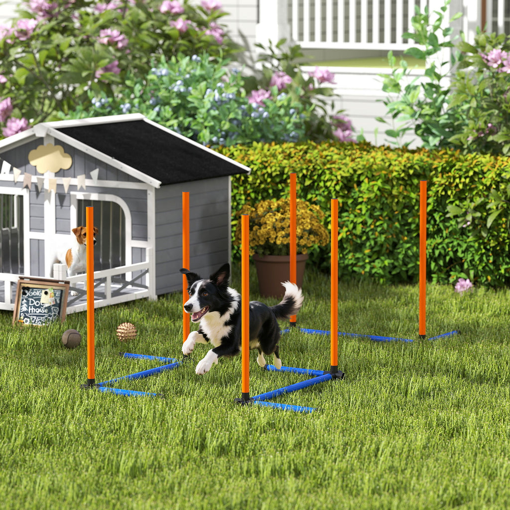 Agility slalomo stulpų rinkinys šunims, 3 dalių, su krepšiu, visų dydžių šunims, oranžinis