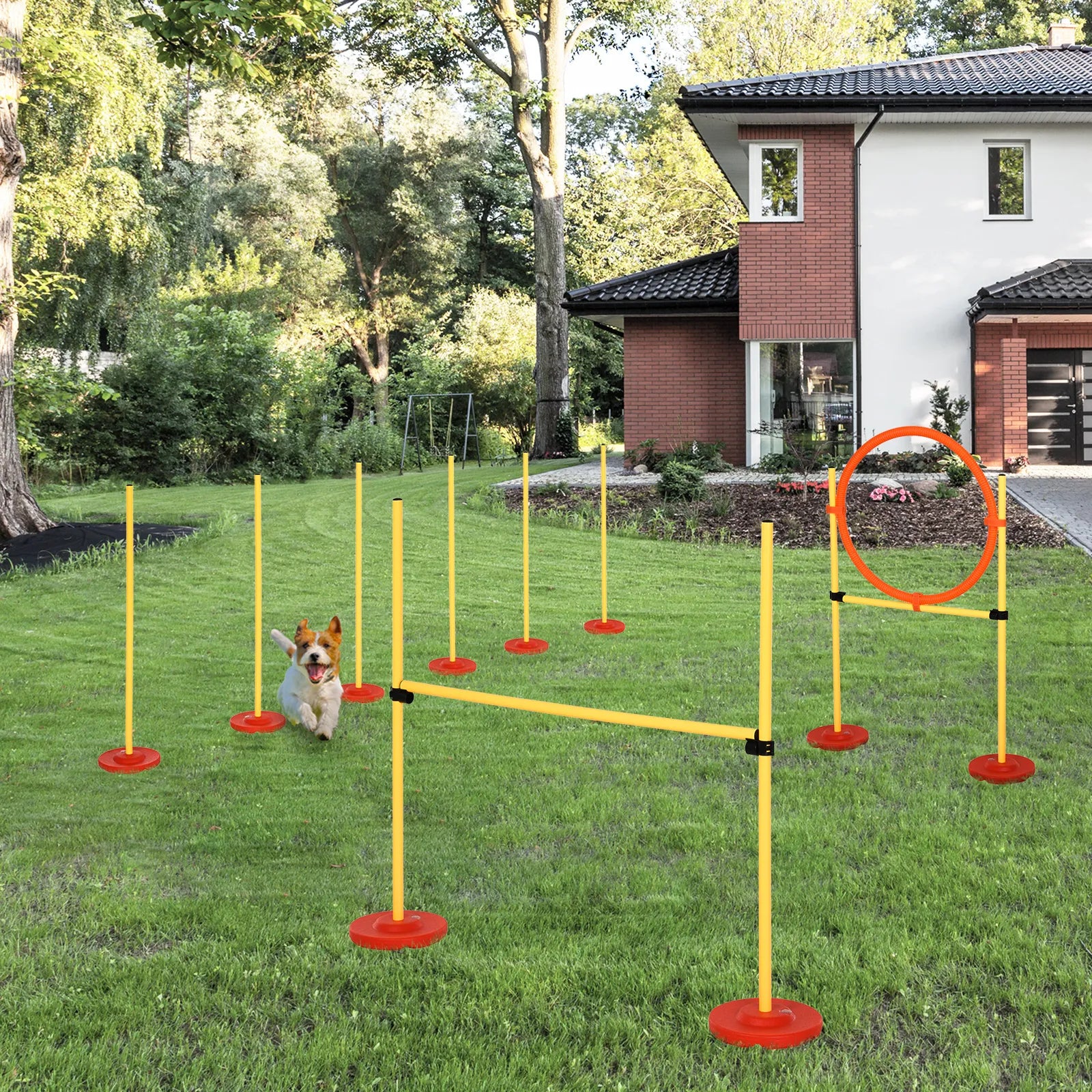 Agility rinkinys šunims, 3 dalių dresūros įranga šunims, vertikalus barjerų rinkinys su 6 slalomo kartimis, reguliuojamo aukščio barjerais, šuolių lanku, transportavimo krepšiu – Agility rinkinys žaidimams ir dresūrai