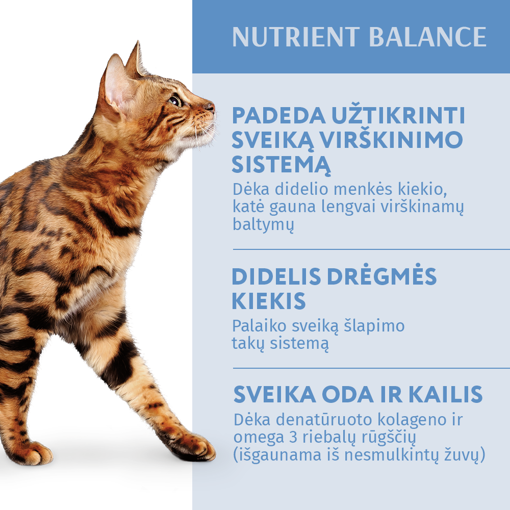 konservuotas pašaras suaugusioms katėms su menke ir daržovėmis drebučiuose 12x0.085 kg sudėtis