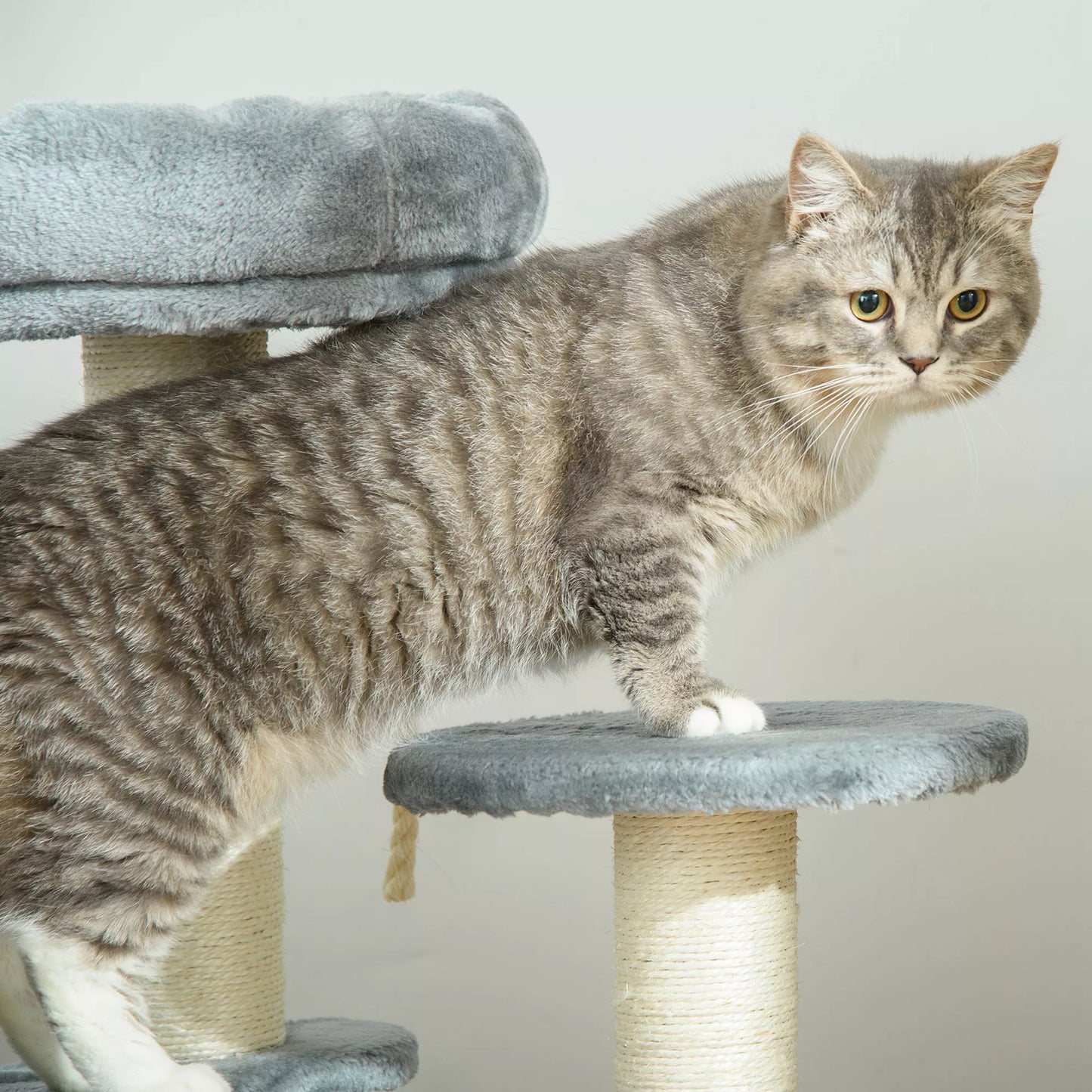 Kaķu māja ar šūpuļtīklu, 3 līmeņu rotaļu māja ar kaķu gultu, kaķu skrāpējamā platforma ar sēdvietu, sizala stabi, pelēka Ø40 x A65 cm