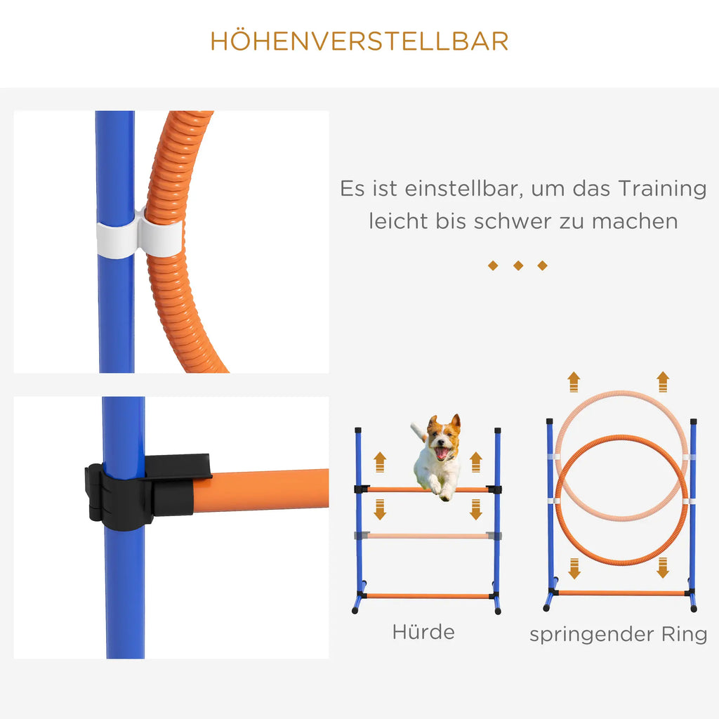 Šunų dresūros ir agility rinkinys, kliūtis, lankas ir slalomo komplektas