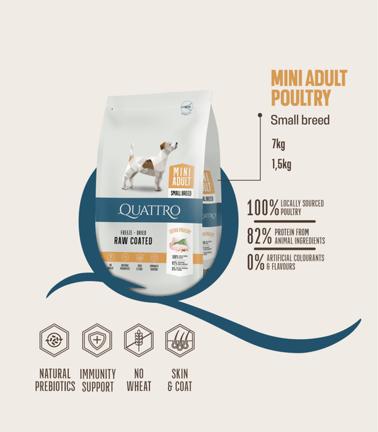 Quattro Maxi Poultry Adult sausā barība lielo šķirņu suņiem ar mājputniem