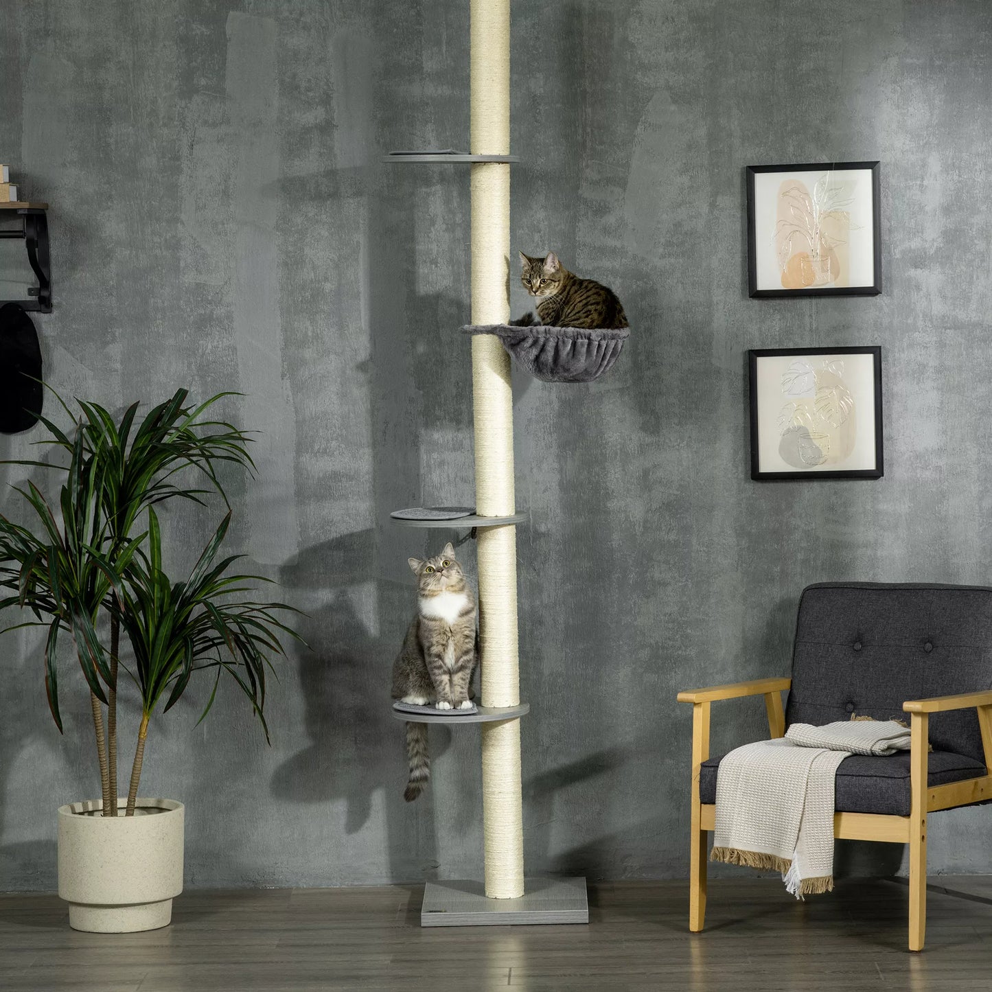 Kačių draskyklė su hamaku, su lubų įtempikliu, iki lubų, 40 cm x 40 m x 250 cm, Pilka + Kreminė balta