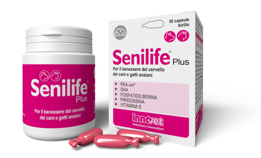 SENILIFE PLUS Papildas padedantis palaikyti tinkamą vyresnio amžiaus šunų ir kačių smegenų veiklą N30