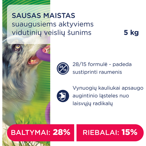 CLUB 4 PAWS Premium „aktyvas“. Visavertis pašaras suaugusiems aktyviems vidutinių veislių šunims