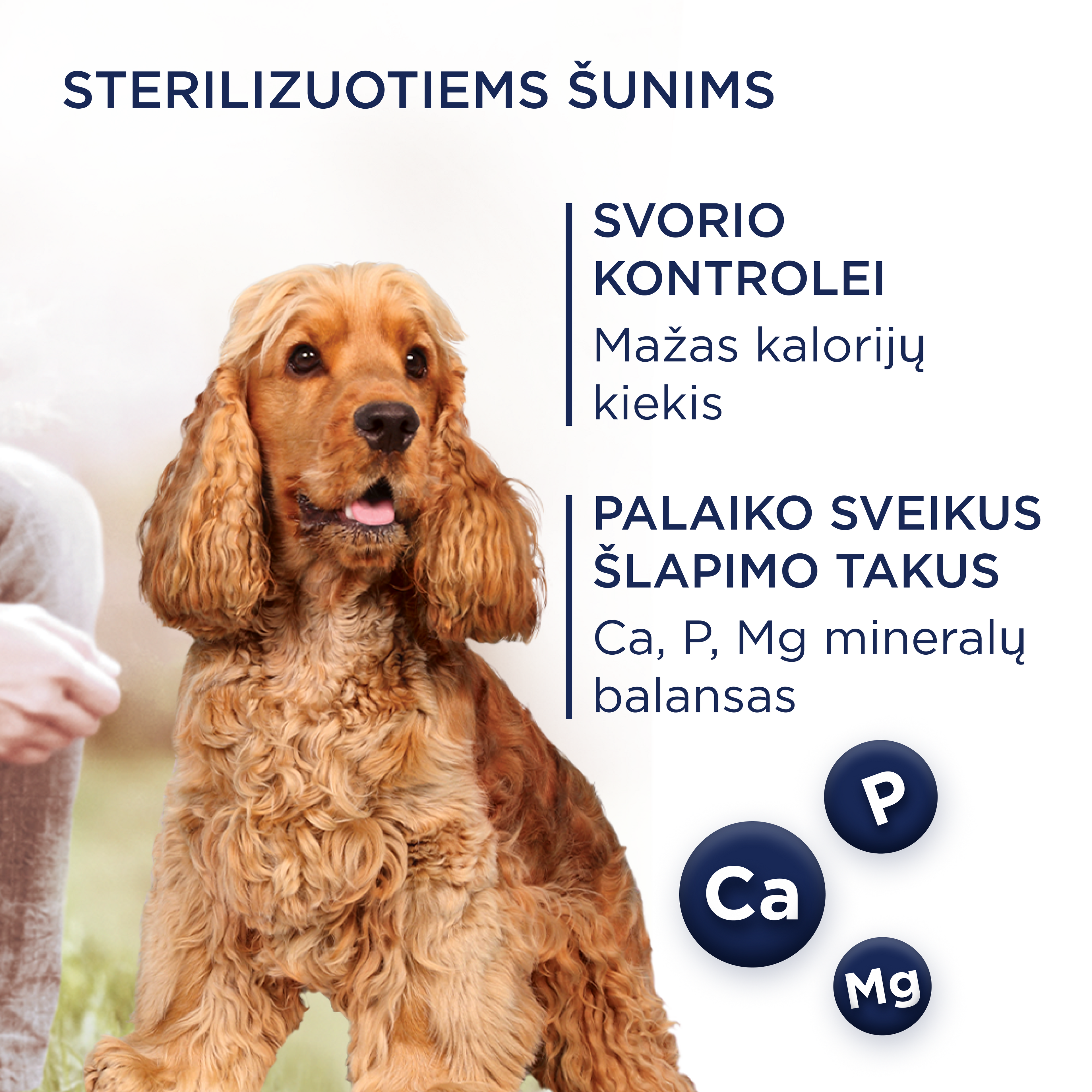 CLUB 4 PAWS Premium weight control. Pilnvērtīga sausā barība pieaugušiem vidēju un lielu šķirņu suņiem, sterilizētiem vai ar aptaukošanās risku. Ar augstu tītara gaļas saturu.