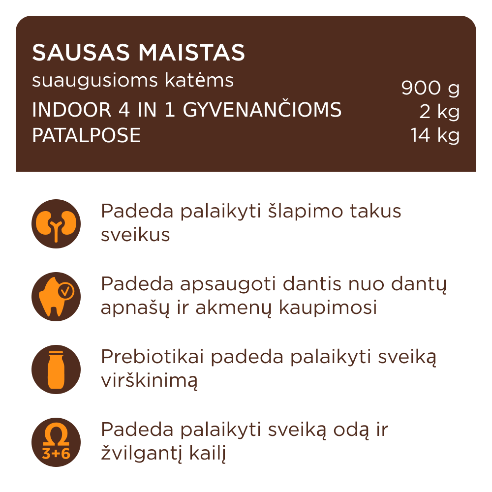 CLUB 4 PAWS Premium su vištiena katėms, gyvenančioms patalpose "4 viename". Visavertis sausas pašaras suaugusioms katėms