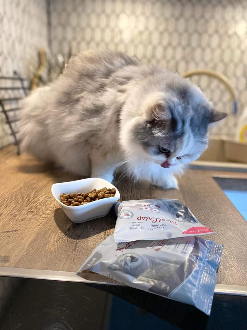 Platinum MeatCrisp sausā barība sterilizētiem kaķiem ar zivīm