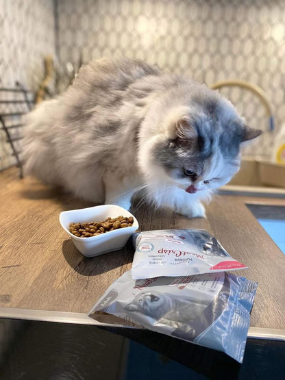Platinum MeatCrisp sausā barība sterilizētiem kaķiem ar zivīm