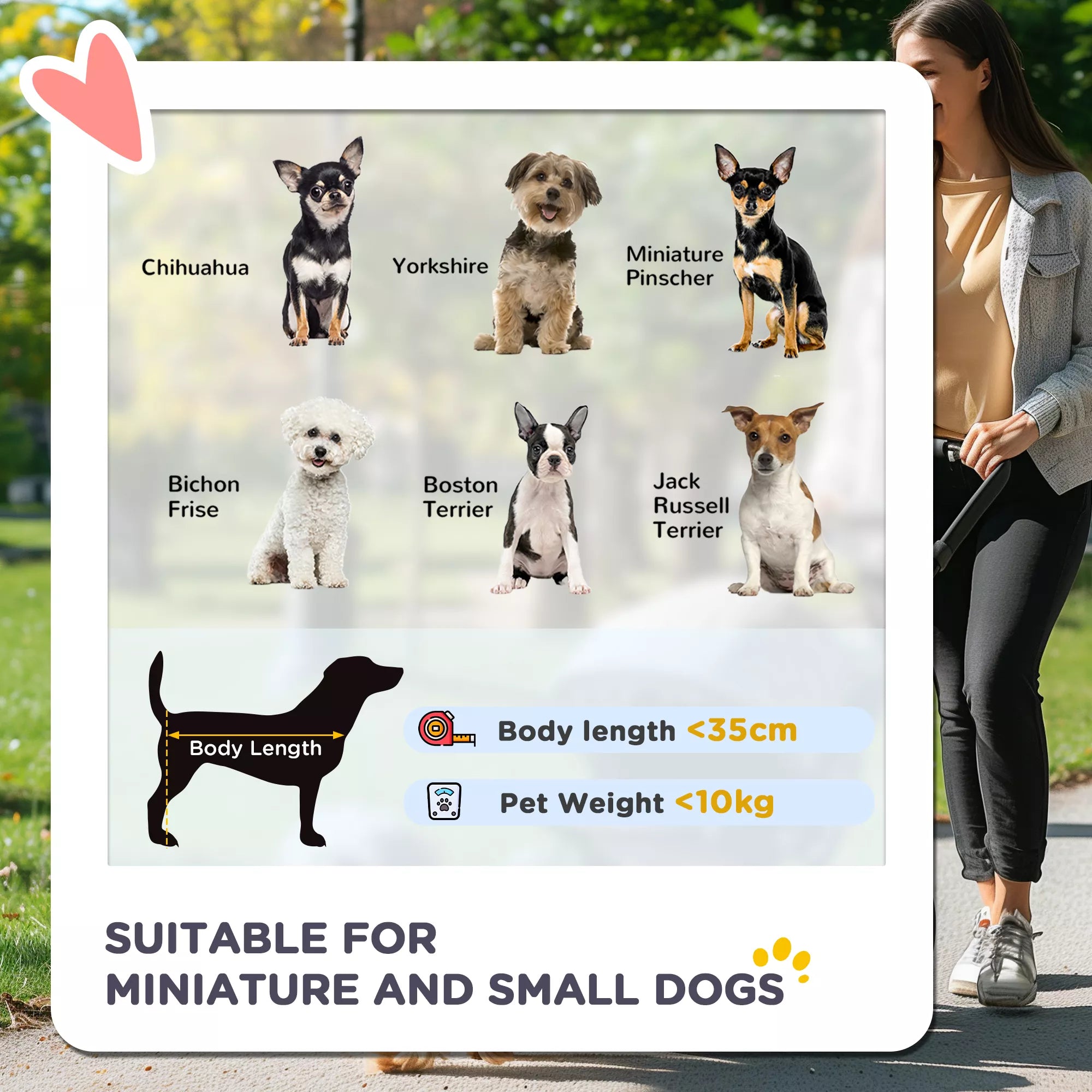 Salokāmi suņu ratiņi līdz 10 kg, ar regulējamu jumtiņu, 2 krūzīšu turētājiem un apakšējo trauku, zili