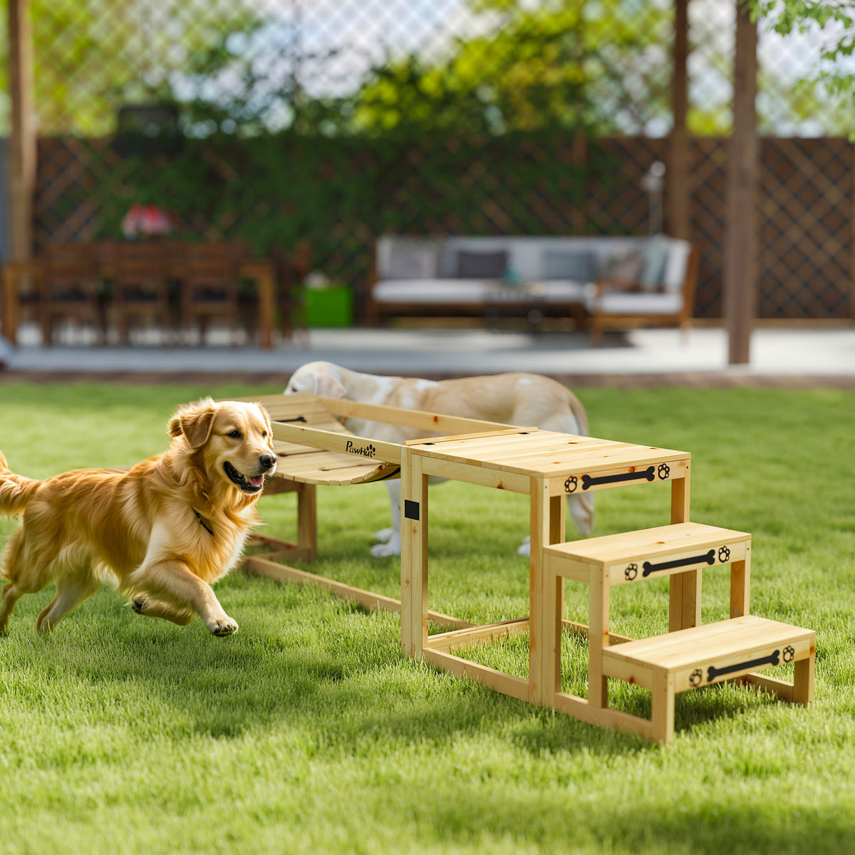 Agility rinkinys šunims: tiltelis, laiptai ir platforma, iš eglės medienos, iki 40 kg, natūralaus medžio spalvos