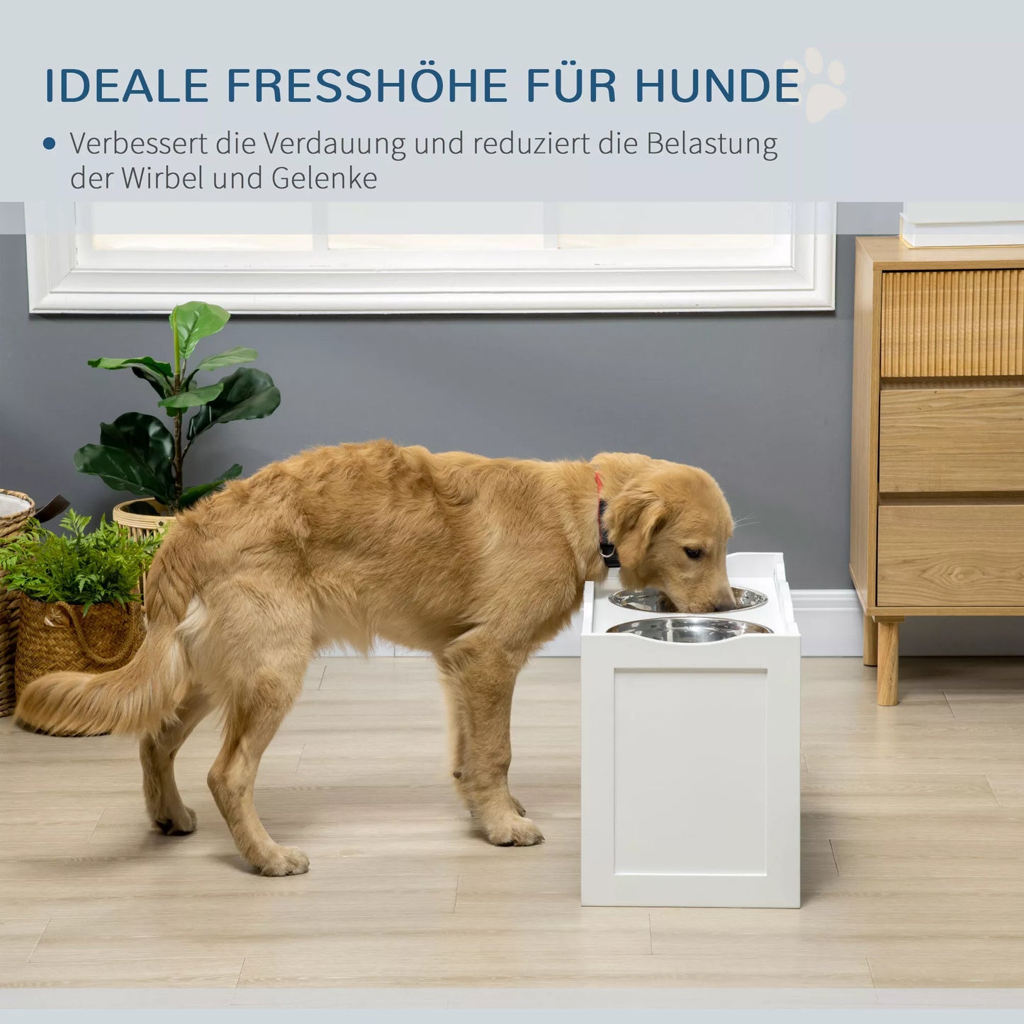 Maitinimo stotelė, stovas dubenėliams, 2 maitinimo dubenėliai po 2 litrus, nerūdijantis plienas, dideliems šunims, balta spalva, 63 x 30 x 24 cm