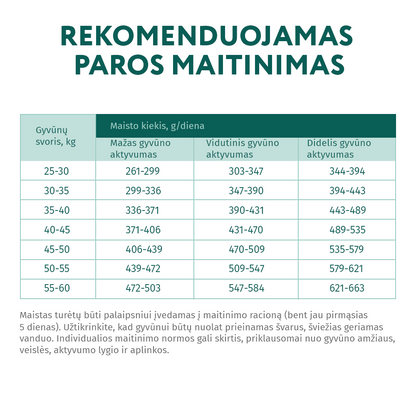visavertis sausas pašaras didelių veislių šunims su vištiena mitybos rekomendacijos