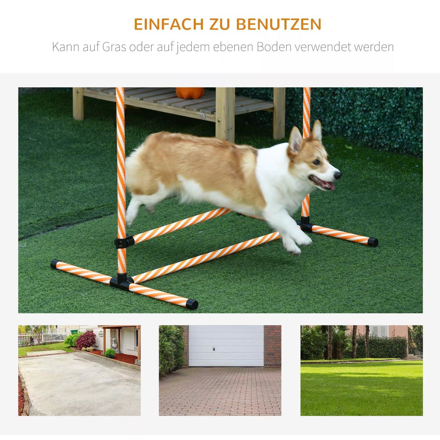 Agility rinkinys šunims, 6 vnt. Agility įrangos rinkinys su supynimo kartimis, švilpuku, šunų dresūros reikmenys su nešiojimo krepšiu, parkui, sodui, oranžinė