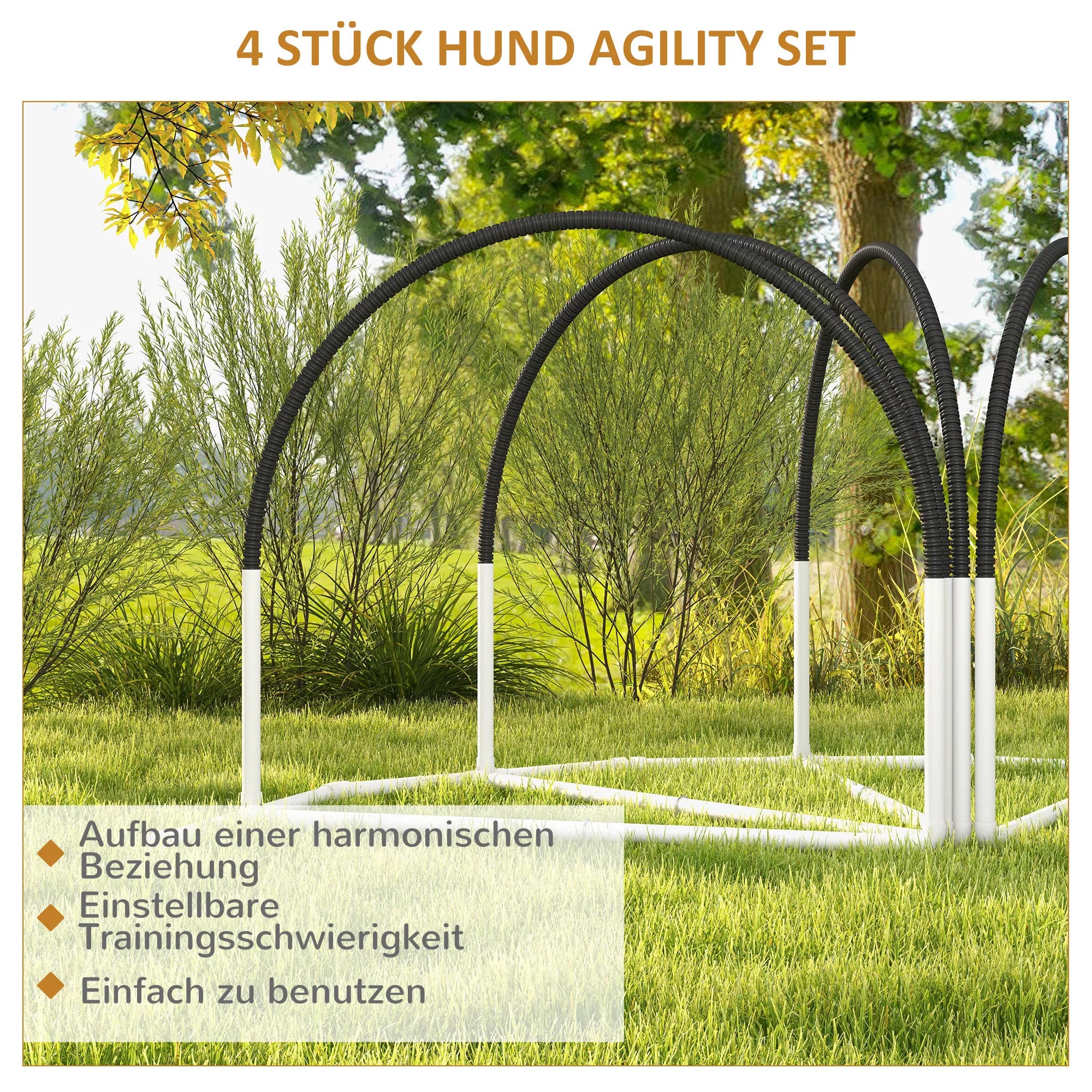 Šunų agiliti rinkinys, dresavimo reikmenys, 4 dalys, 89 x 69 x 99 cm, balta + juoda