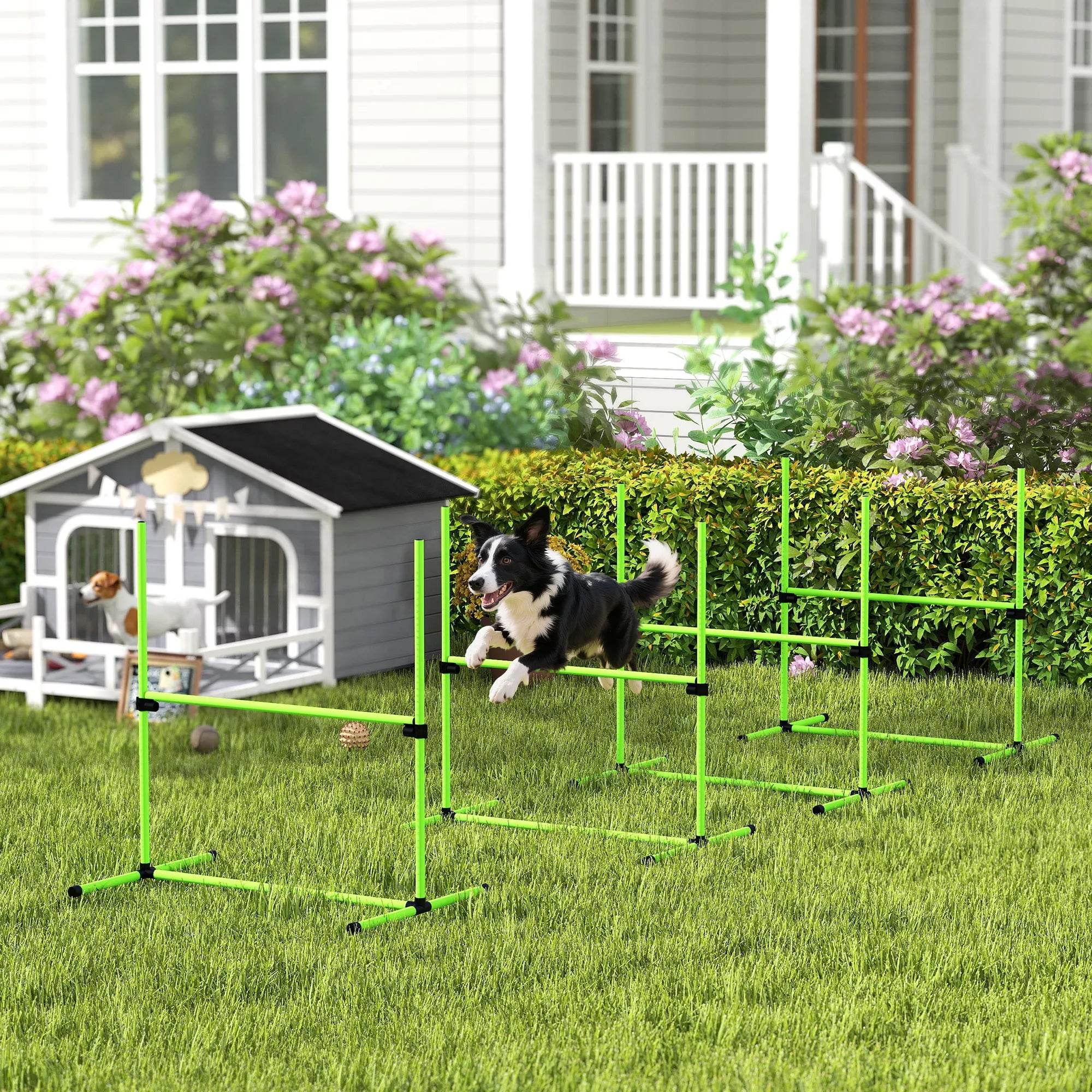 Agility rinkinys šunims 4 dalių aukščio reguliuojama agility įranga su 4 kliūtimis Nešimo krepšys 99 x 65 x 94 cm Žalia